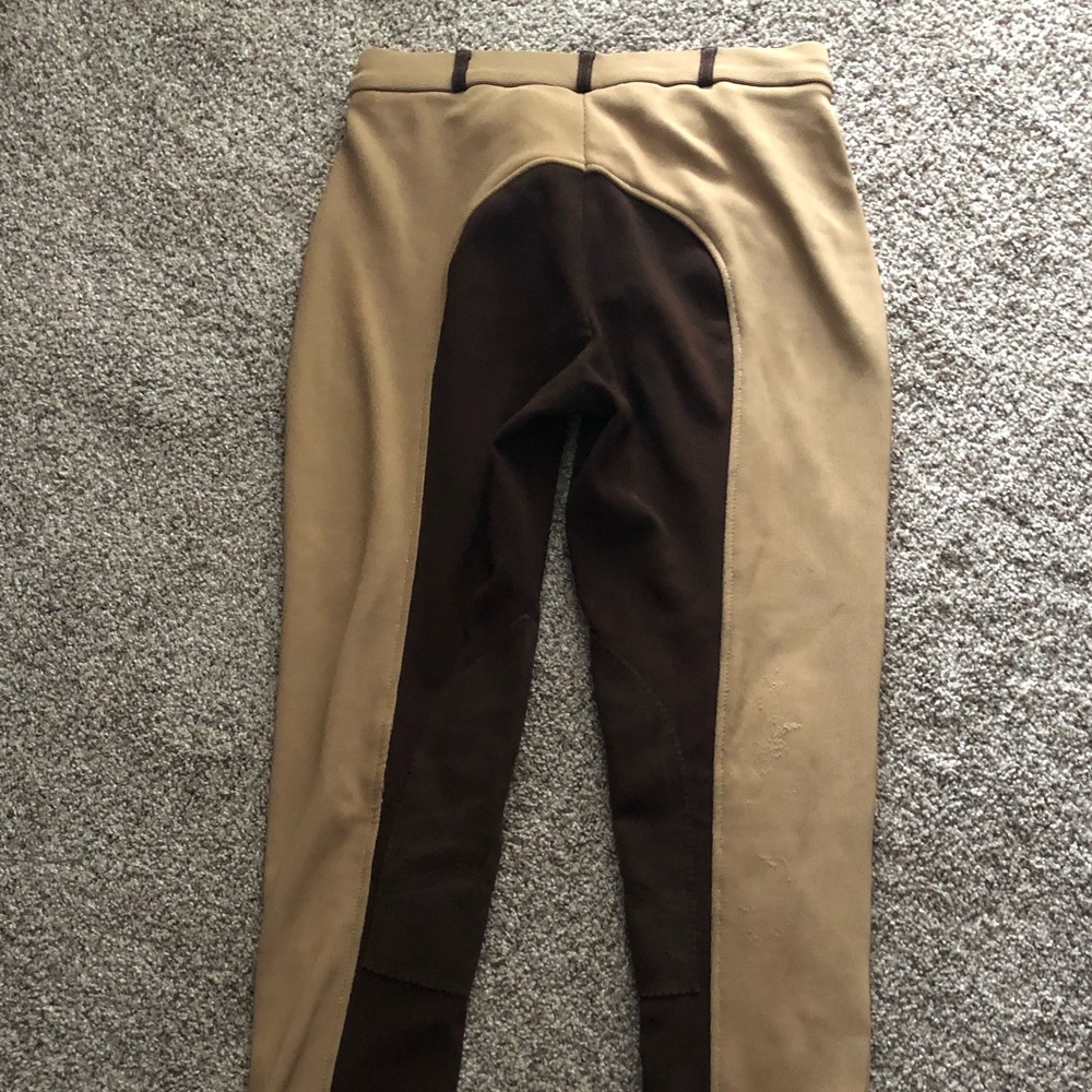 Ovation breeches